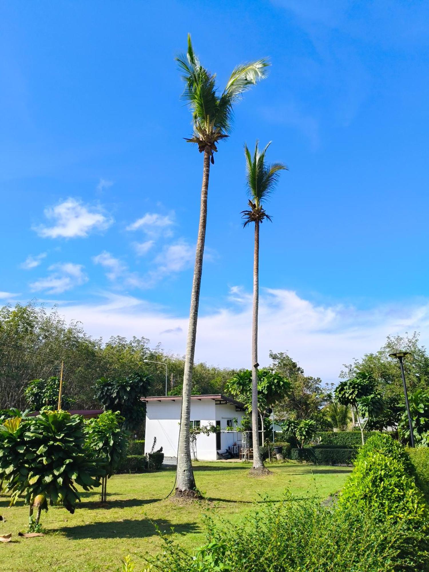 The Lodge At Koh Kood Ko Kut Exterior photo