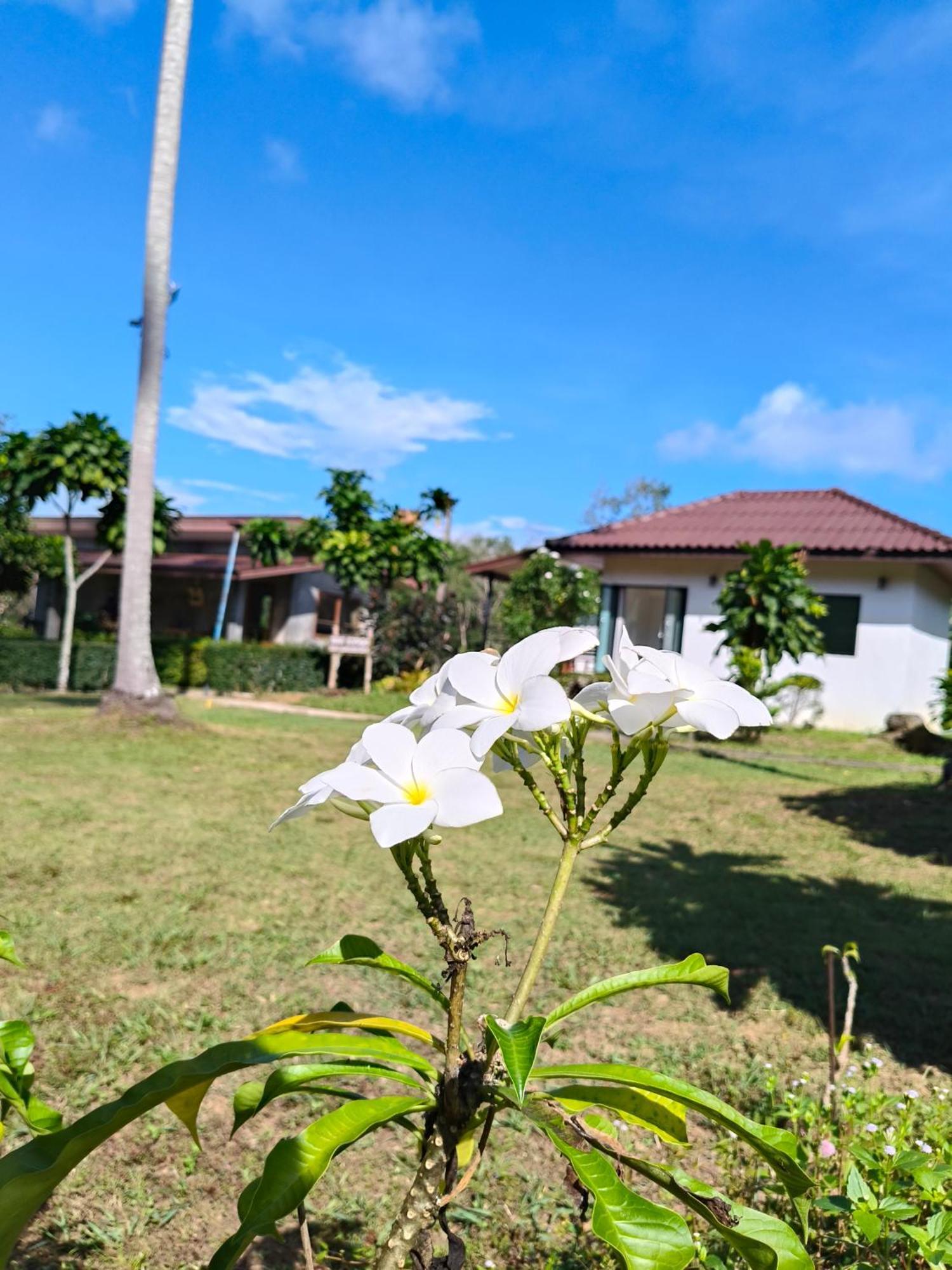 The Lodge At Koh Kood Ko Kut Exterior photo